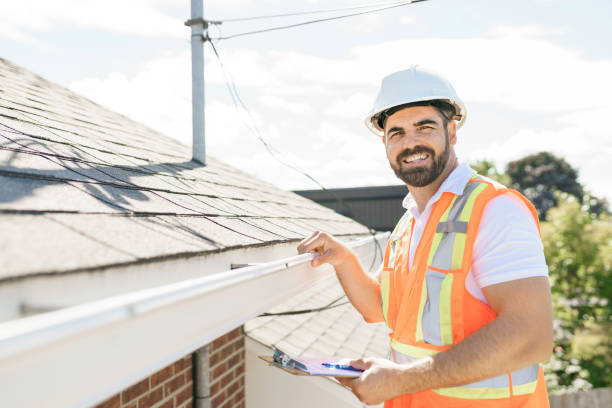 Roof Gutter Cleaning in Edwardsville, KS